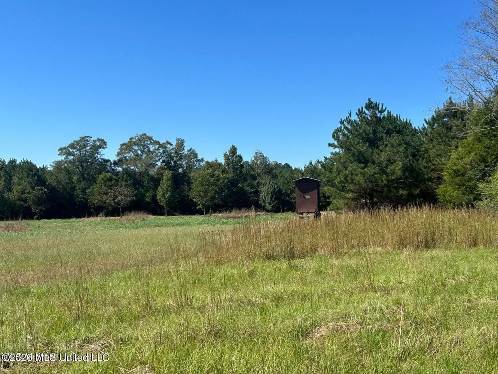 72ac Skyline Road Meridian, MS 39301