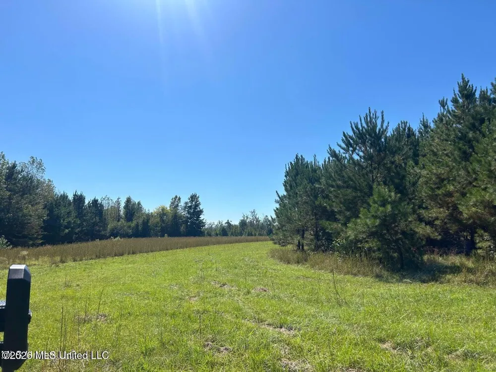 72ac Skyline Road Meridian, MS 39301
