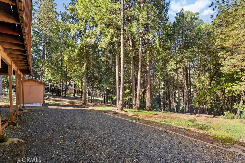 14219 Wycliff Magalia, CA 95954