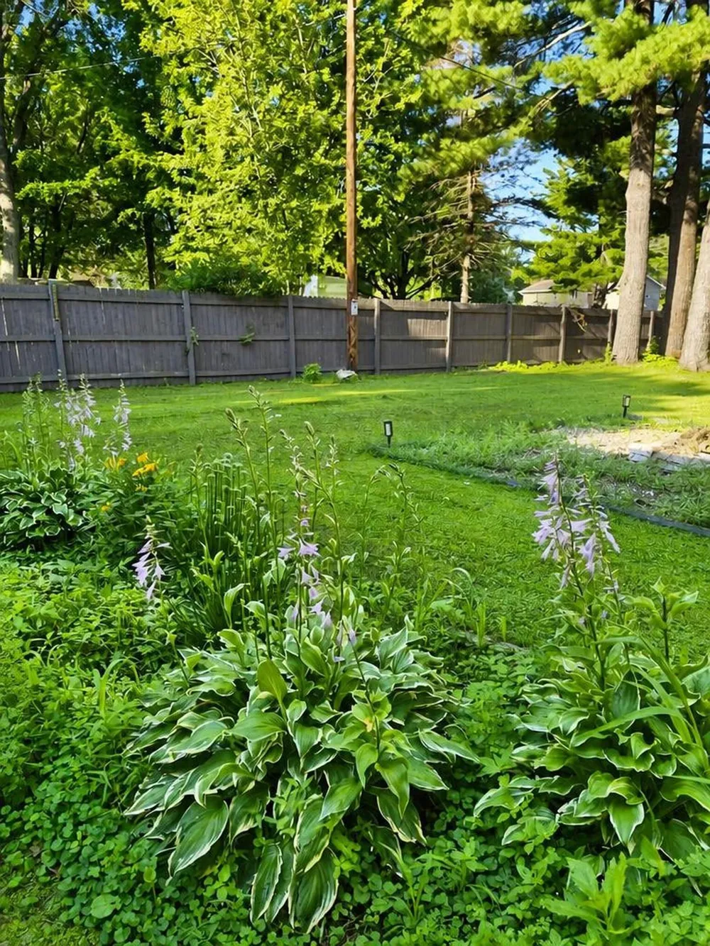 502 Birchwood Avenue Amery, WI 54001