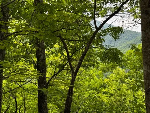#6 Pounding Mill Overlook