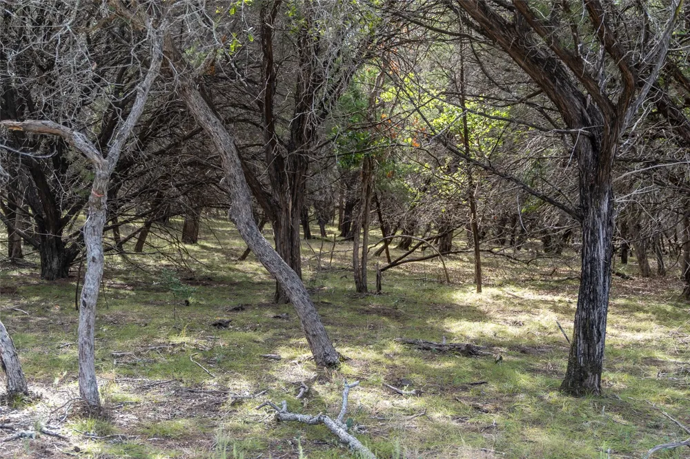 1934 Live Oak Cemetery Road Killeen, TX 76542