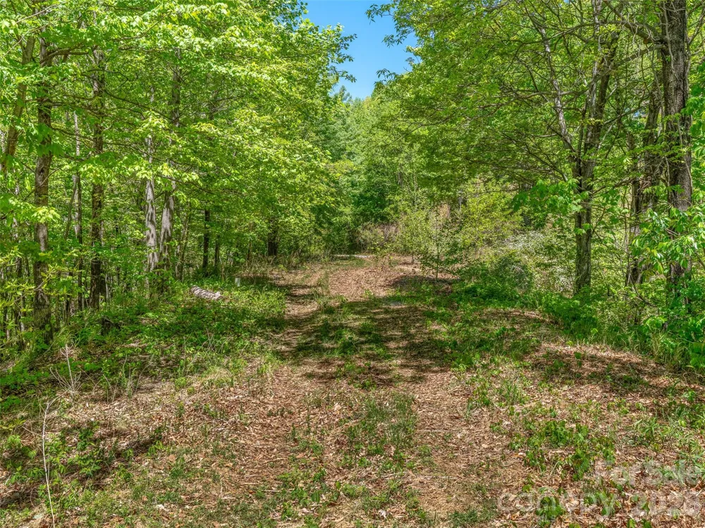 488 Warbler Lane #H-13 Black Mountain, NC 28711