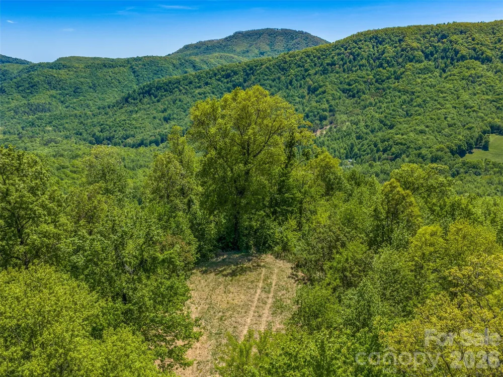 488 Warbler Lane #H-13 Black Mountain, NC 28711