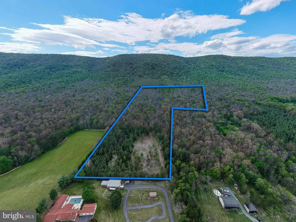 BOLIVER ROAD Fort Valley, VA 22652