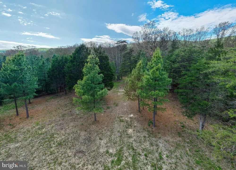 BOLIVER ROAD Fort Valley, VA 22652