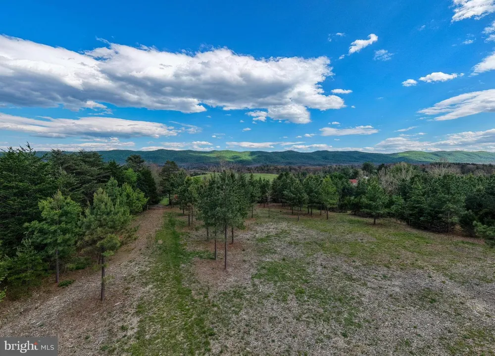 BOLIVER ROAD Fort Valley, VA 22652