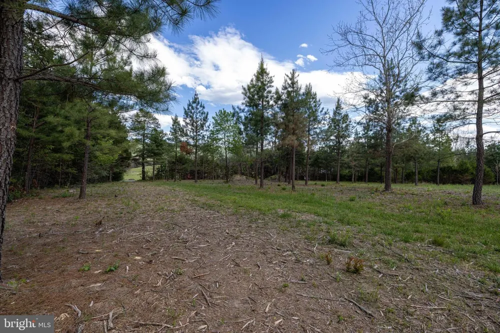 BOLIVER ROAD Fort Valley, VA 22652