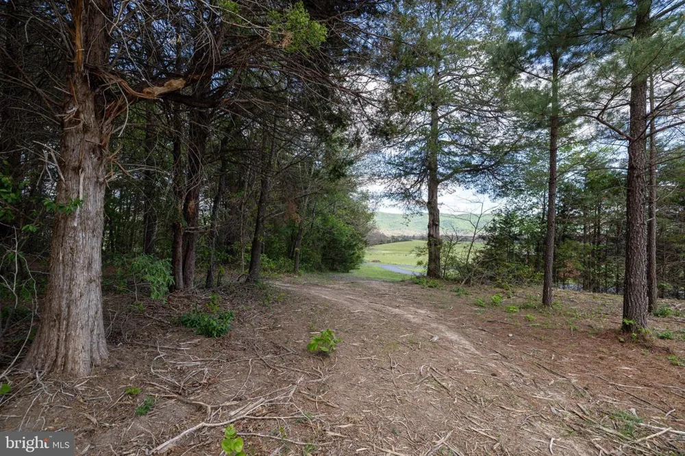 BOLIVER ROAD Fort Valley, VA 22652