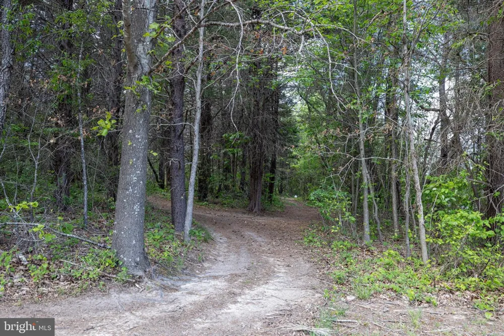 BOLIVER ROAD Fort Valley, VA 22652