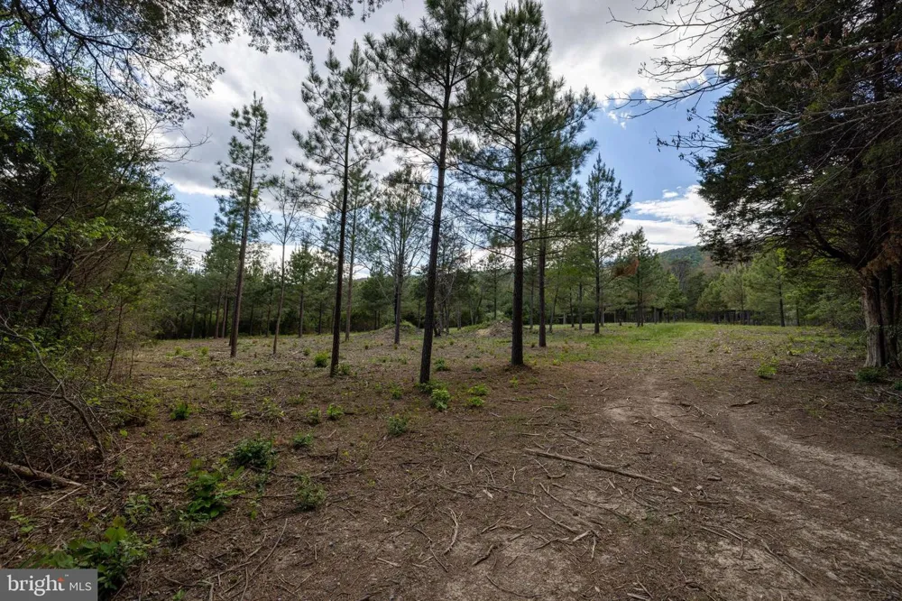 BOLIVER ROAD Fort Valley, VA 22652