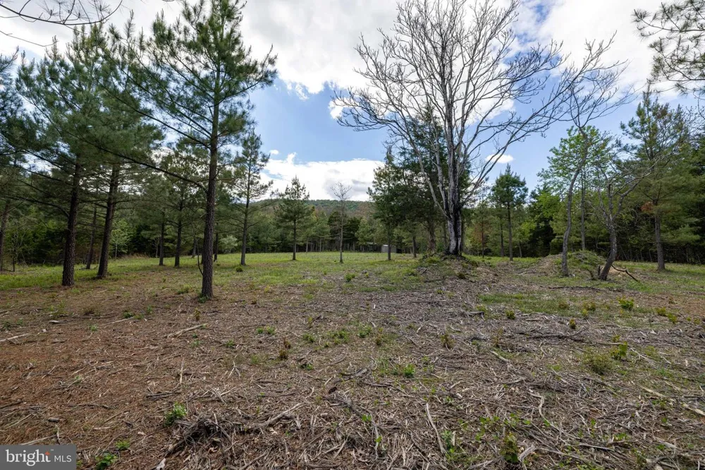 BOLIVER ROAD Fort Valley, VA 22652