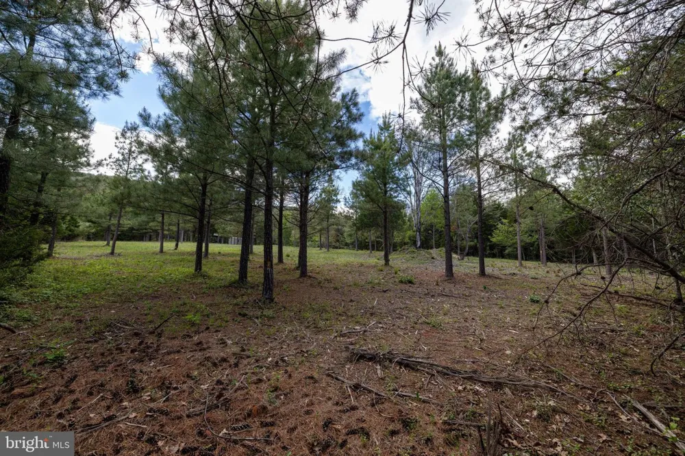 BOLIVER ROAD Fort Valley, VA 22652