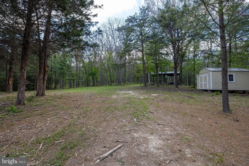 BOLIVER ROAD Fort Valley, VA 22652