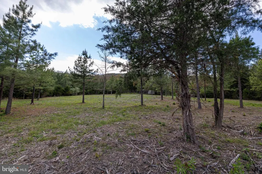 BOLIVER ROAD Fort Valley, VA 22652