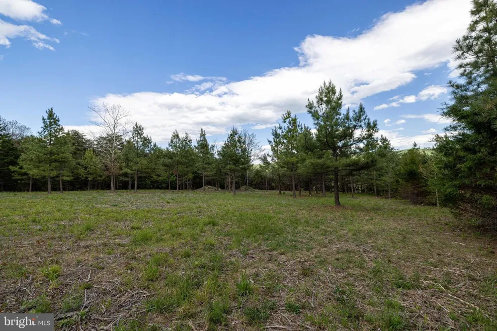 BOLIVER ROAD Fort Valley, VA 22652