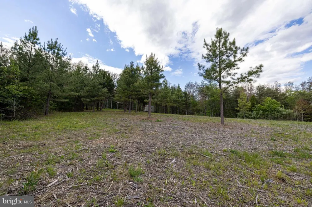 BOLIVER ROAD Fort Valley, VA 22652