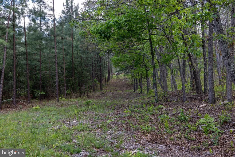BOLIVER ROAD Fort Valley, VA 22652
