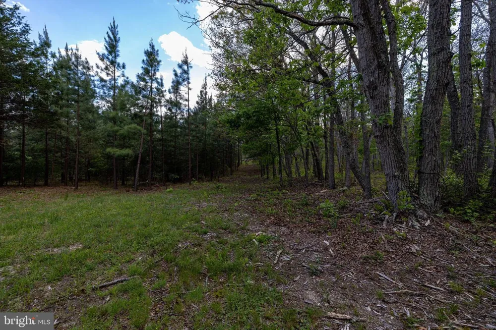 BOLIVER ROAD Fort Valley, VA 22652