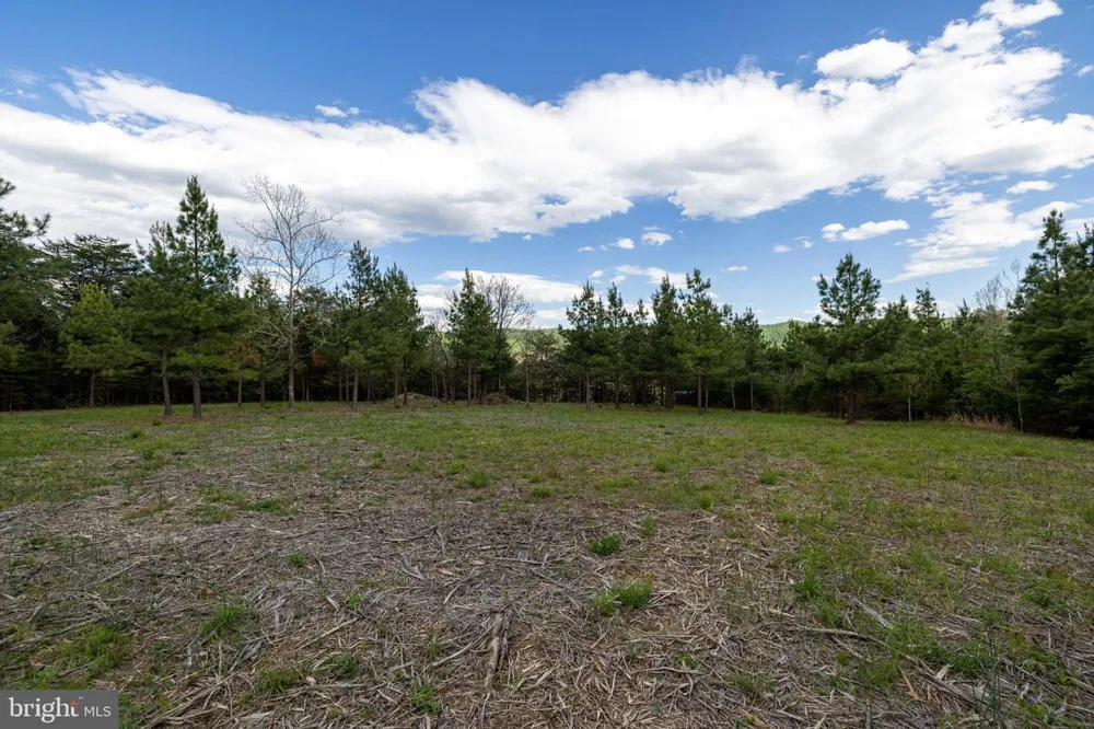 BOLIVER ROAD Fort Valley, VA 22652