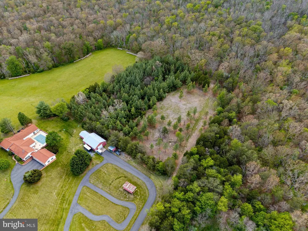 BOLIVER ROAD Fort Valley, VA 22652