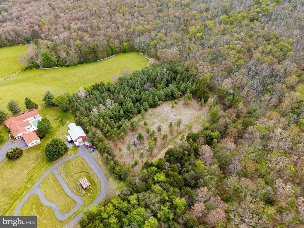BOLIVER ROAD Fort Valley, VA 22652