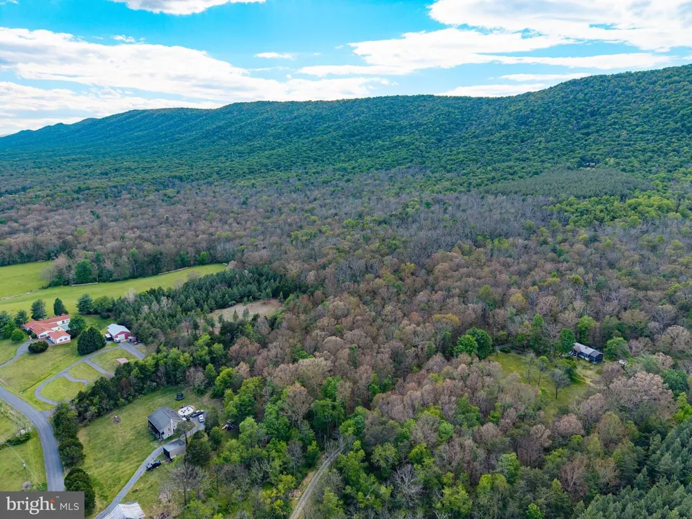 BOLIVER ROAD Fort Valley, VA 22652