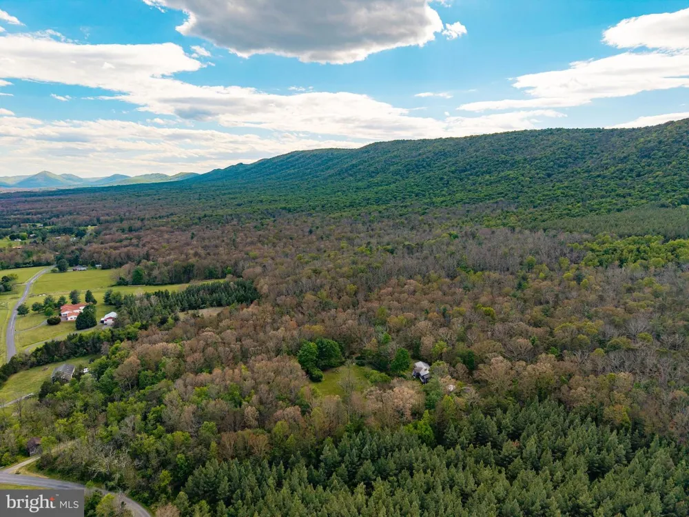 BOLIVER ROAD Fort Valley, VA 22652