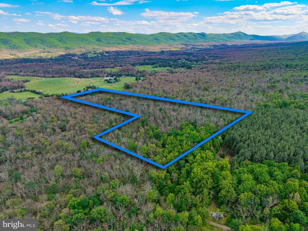BOLIVER ROAD Fort Valley, VA 22652