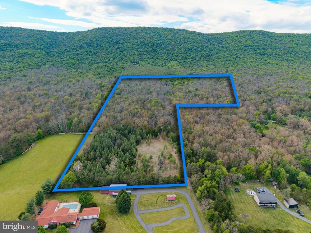 BOLIVER ROAD Fort Valley, VA 22652