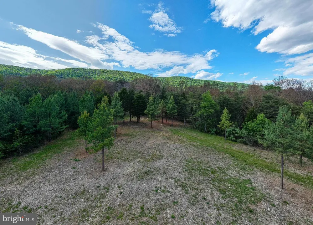 BOLIVER ROAD Fort Valley, VA 22652