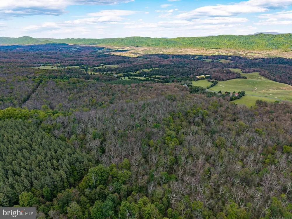 BOLIVER ROAD Fort Valley, VA 22652
