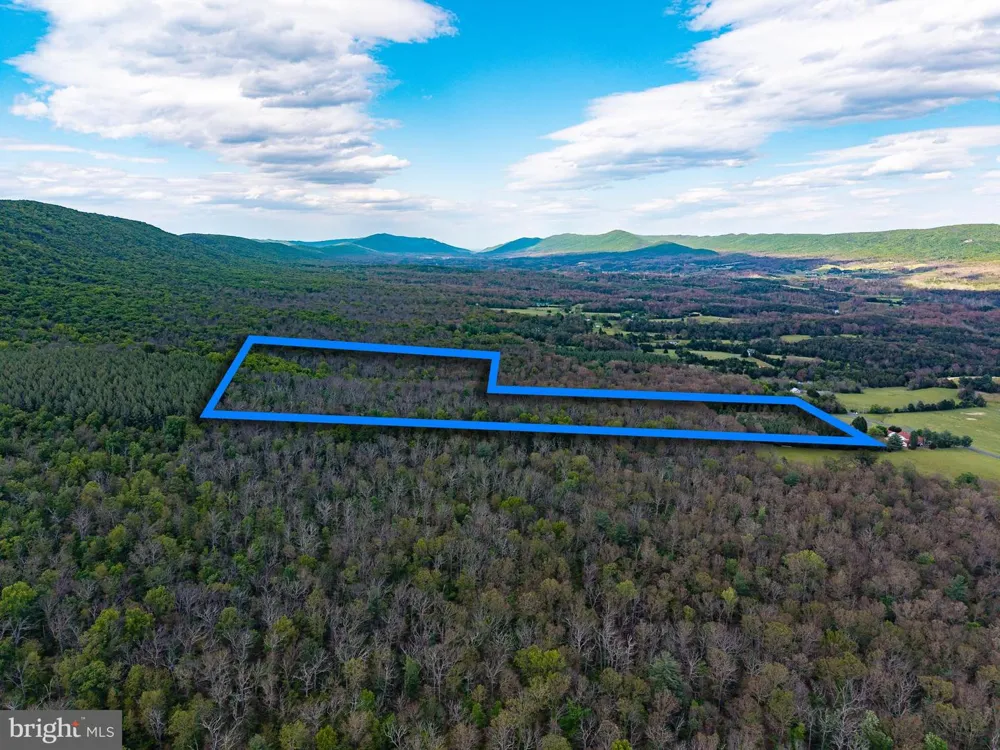 BOLIVER ROAD Fort Valley, VA 22652