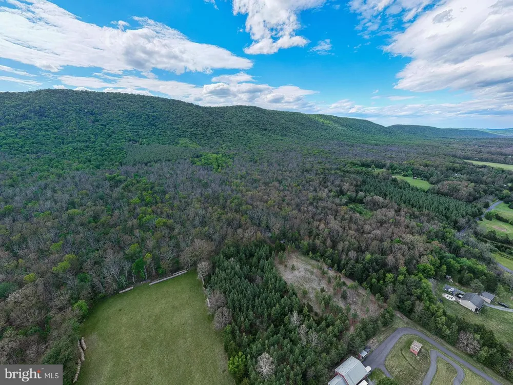 BOLIVER ROAD Fort Valley, VA 22652