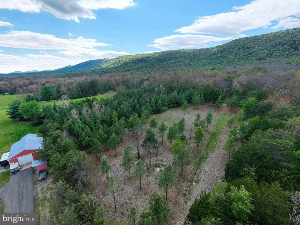 BOLIVER ROAD Fort Valley, VA 22652