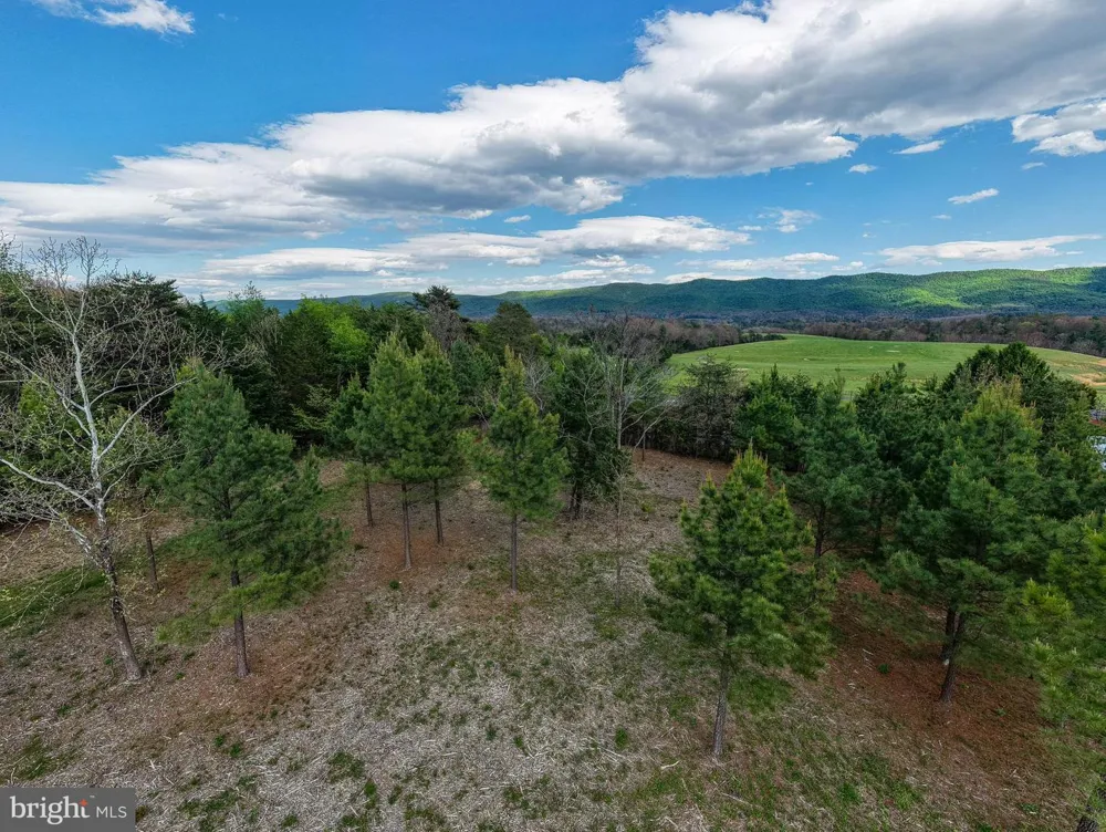 BOLIVER ROAD Fort Valley, VA 22652