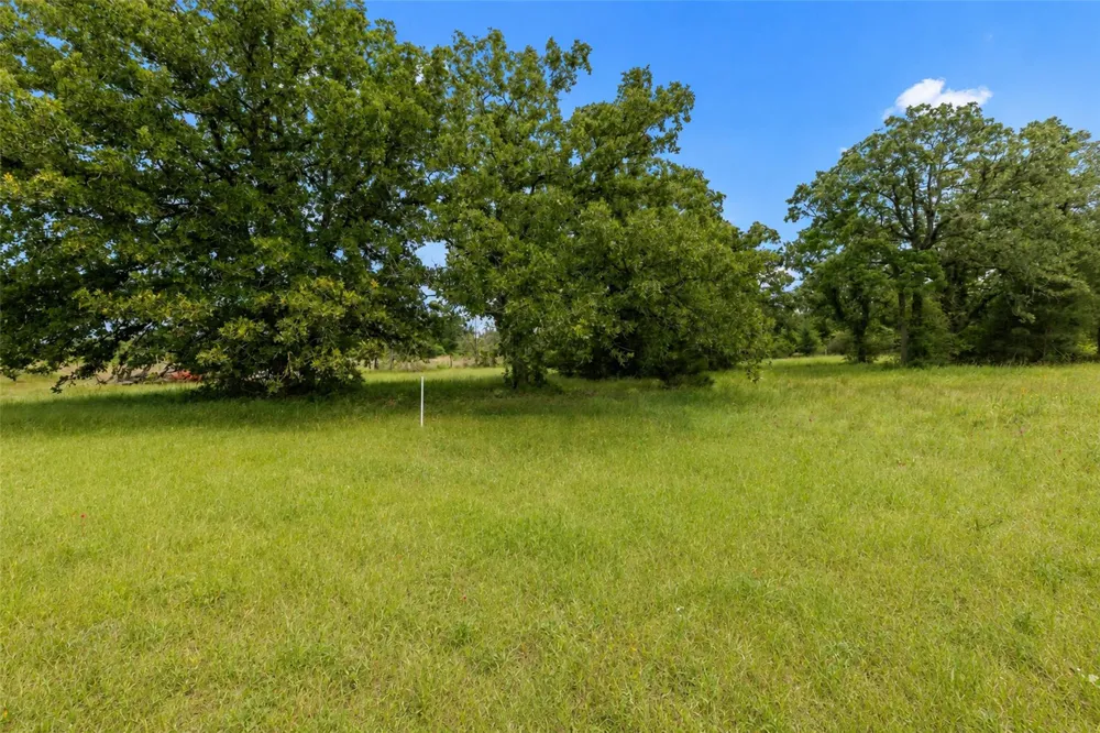 3508 Dick Barnes Loop Bedias, TX 77831