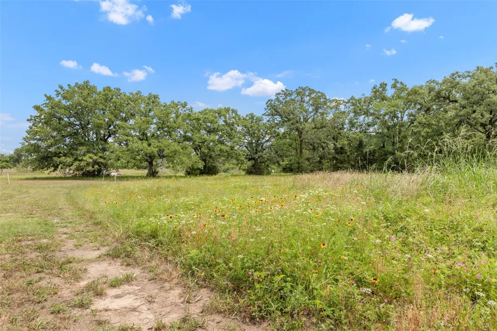 3508 Dick Barnes Loop Bedias, TX 77831