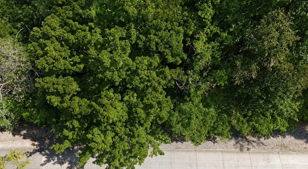 33 Swiper Dr Smithville, TN 37166