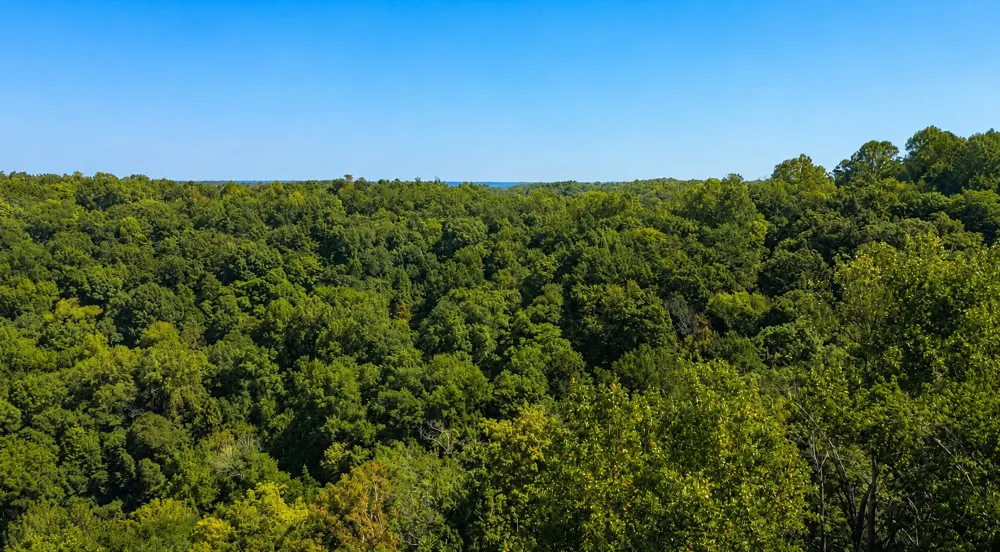 33 Swiper Dr Smithville, TN 37166