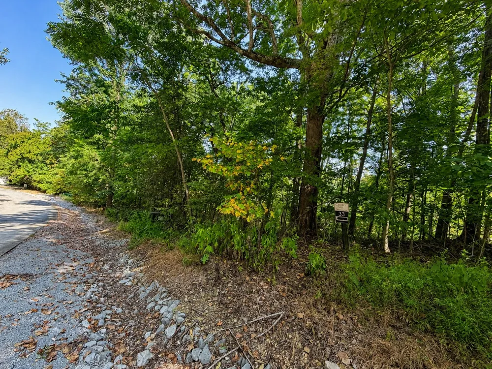 33 Swiper Dr Smithville, TN 37166