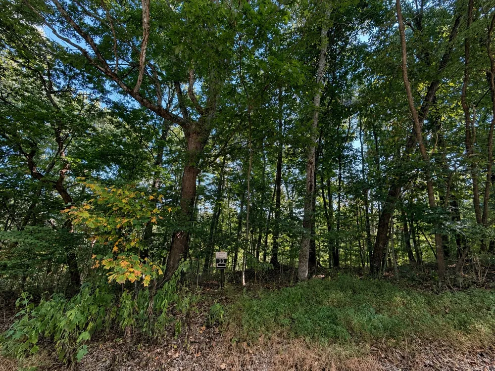 33 Swiper Dr Smithville, TN 37166