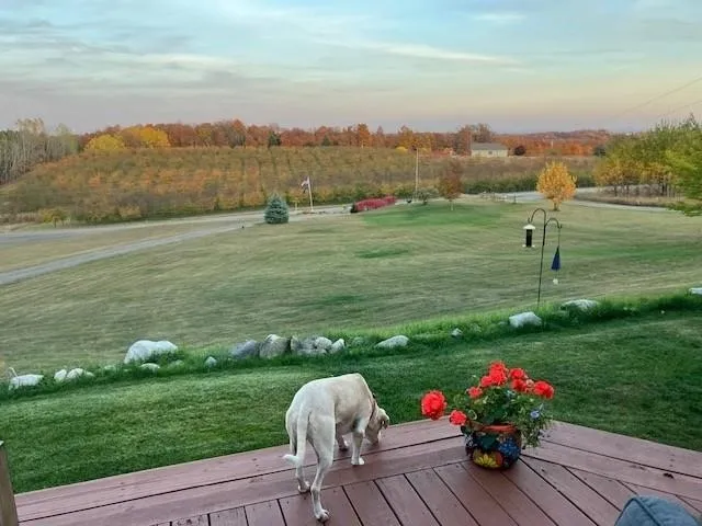 2567 Evergreen Valley Drive Suttons Bay Township, MI 49682