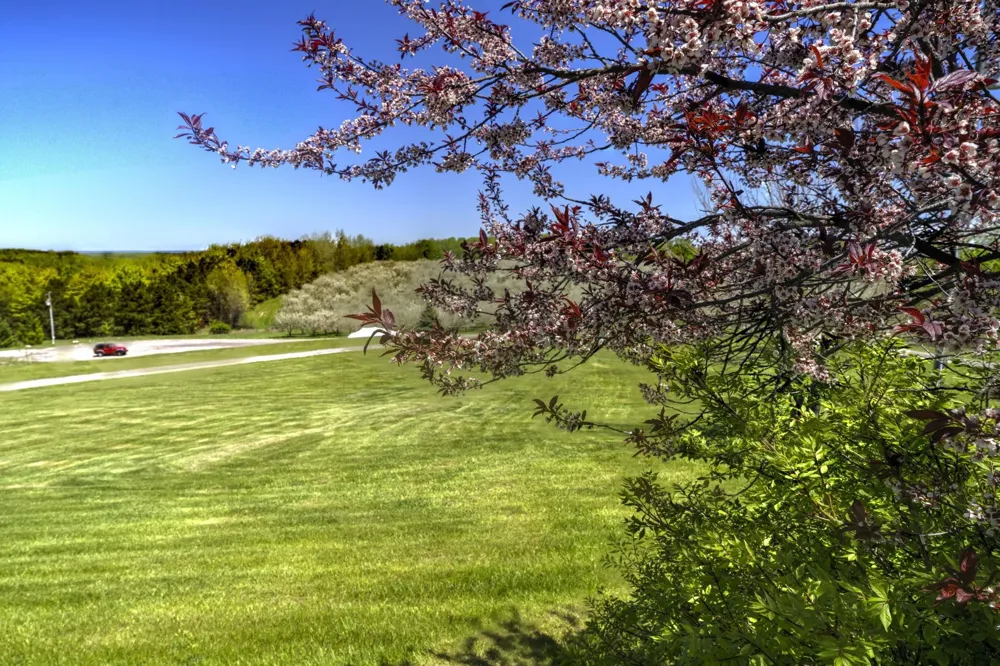 2567 Evergreen Valley Drive Suttons Bay Township, MI 49682