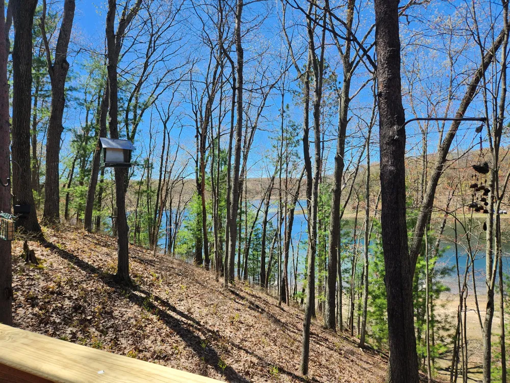 9223 S Trail Of The Lakes Baldwin, MI 49304