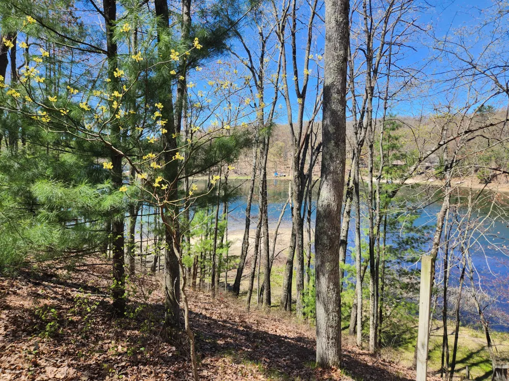 9223 S Trail Of The Lakes Baldwin, MI 49304