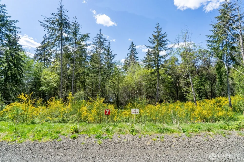 890 E Anchor View Lane Shelton, WA 98584