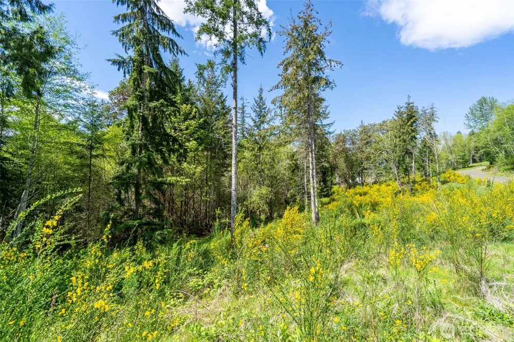 890 E Anchor View Lane Shelton, WA 98584