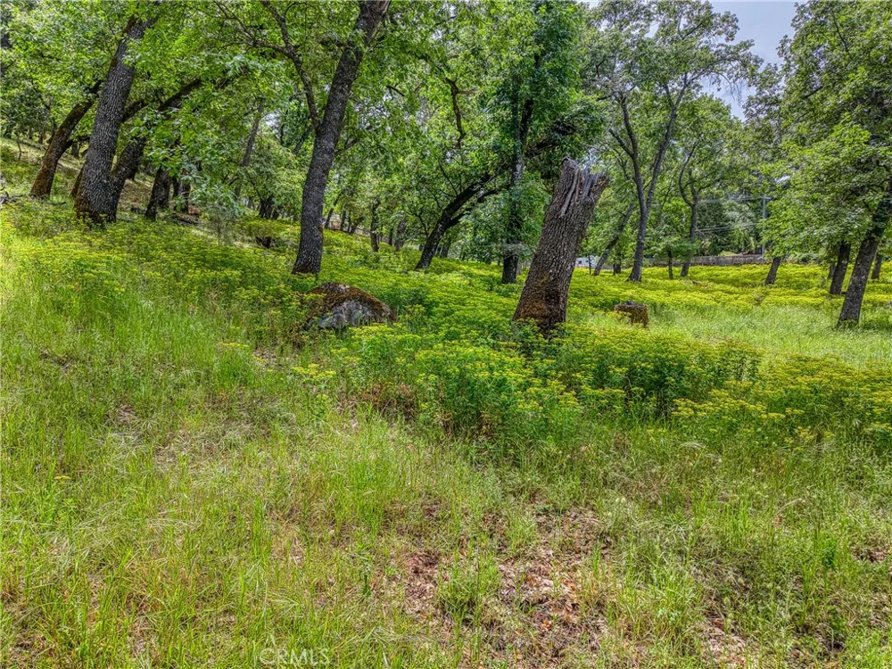 5290 Lake Boulevard Lower Lake, CA 95457