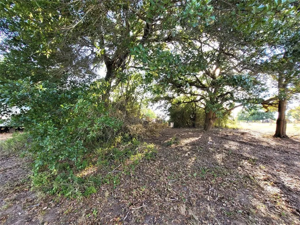 14536 Cochran Road Waller, TX 77484